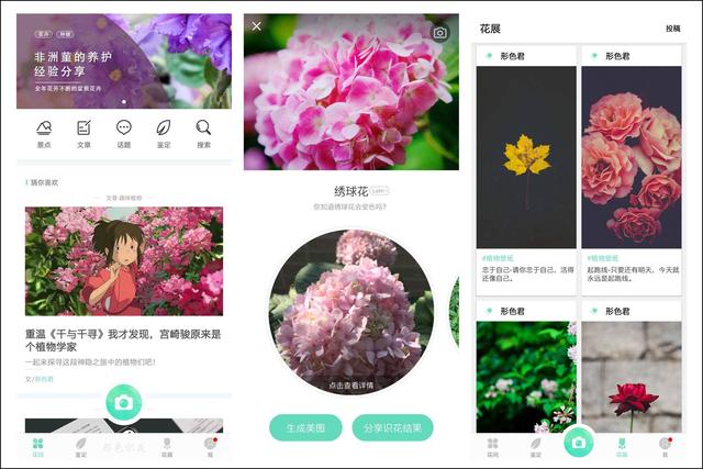 1595312917662832.jpg 7.jpg