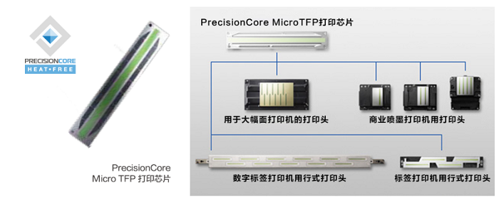 持續強化新質生產力，愛普生讓綠色噴墨打印價值惠及全世界