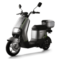 五星钻豹电动车 80KM长续航男女新国标电动自行车48V24AH锂电池电瓶车 B13 尾箱版 科技灰/钻石黑/荧光草绿