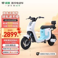 绿源（Luyuan）电动车48V24A新国标电动自行车锂电通勤代步车 液冷电机   K5 光纤白