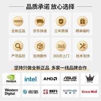 胖虫 武林高手i5 12400F/RTX3050/RTX3060/TI电竞游戏直播DIY组装电脑主机 豪华版:12400F-RTX3060 单主机