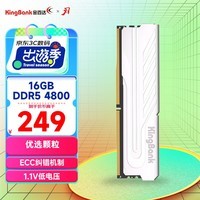 金百达（KINGBANK）16GB DDR5 4800 台式机内存条 银爵