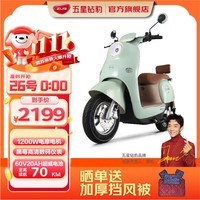 五星钻豹电动摩托车60V20AH电瓶车1200W大功率成人外卖车长续航电动车G3 海沫绿