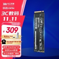 致态（ZhiTai）长江存储 500GB SSD固态硬盘 NVMe M.2接口 Ti600系列 (PCIe 4.0 产品)