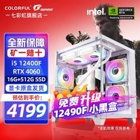 七彩虹（Colorful）海景房12代/13代 i5 12600KF/13490F/RTX4060 Ti 黑神话悟空电竞游戏设计办公电脑主机台式组装机 配五：12490F丨16G丨512G丨4060白