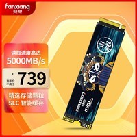 梵想（FANXIANG） 2TB SSD固态硬盘M.2接口NVMe协议（PCIe4.0*4） 台式机笔记本电脑S690MQ系列