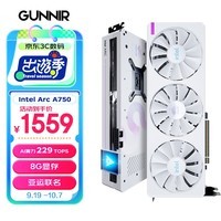 蓝戟（GUNNIR）Intel Arc A750 Photon 8G OC W 2400MHz GDDR6亚运联名款游戏显卡台式电脑显卡