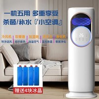 姒桀室内空调无外机冷暖一体机智能冷风机扇冰晶两用暖风批发家用 新款白色5A GB406
