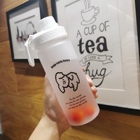 景盏水杯随行杯创意个性潮流少女心网红磨砂杯吸管水杯女可爱便携 500ml 小狗 PC杯
