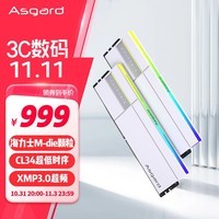 阿斯加特（Asgard）48GB(24Gx2)套 DDR5 6800 台式机内存条 RGB灯条-女武神·瓦尔基里Ⅱ代【C34】极地白 助力AI	