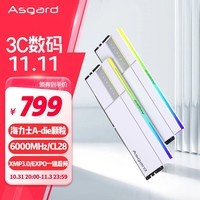 阿斯加特（Asgard）32GB(16Gx2)套 DDR5 6000 台式机内存条 RGB灯条-女武神·瓦尔基里Ⅱ代【C28】极地白