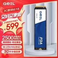 GEIL金邦 2TB SSD固态硬盘 M.2接口PCIe 3.0（NVMe协议）台式机笔记本硬盘 高速2500MB/S P3A系列