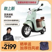 五星钻豹电动车60V20AH电动摩托车成人男女士电瓶车1200W大功率新款电摩G3 海沫绿