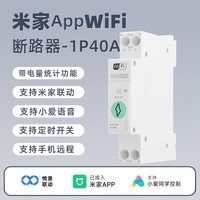 德路普已接入米家智能断路器wifi空气开关手机远程定时开关断电小爱语音 1P+N-40A通断器（带电量统计）