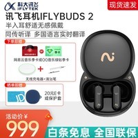 科大讯飞录音降噪会议耳机iFLYBUDS 2 无线蓝牙通话录音翻译耳机 同传听译降噪半入耳翻译耳机 讯飞耳机iFLYBUDS 2【秘境黑】