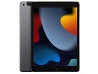 Apple iPad（第 9 代）10.2英寸平板电脑 2021年款（256GB Cellular版/A13芯片/1200万像素 MK643CH/A）银色