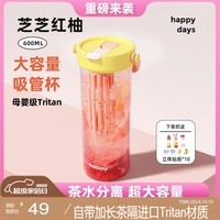 BABLOV水杯女大容量高颜值便携tritan茶水分离夏季泡茶吸管杯600ml