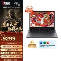 联想（Lenovo）拯救者R9000P 16英寸电竞游戏本笔记本电脑(R9-7945HX 16G 1T RTX4060 2.5k 240Hz 100%DCI-P3)灰