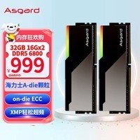 阿斯加特（Asgard）32GB(16Gx2)套装 DDR5 7200 台式机内存条 博拉琪 镜面RGB灯条 海力士A-die