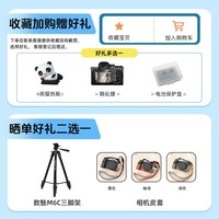 尼康（Nikon）Z 7II（Z7 2/Z72）全画幅微单相机 （约4,575万有效像素 5轴防抖）单机身 基础套装