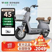 绿源（Luyuan）FOO2电动自行车48V新国标电动车锂电铅酸电池NFC钢丝胎代步电瓶车 工业灰-12ah超威铅酸