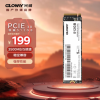 光威（Gloway）512GB SSD固态硬盘 M.2接口(NVMe协议) PCIe 3.0x4 Basic+系列