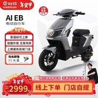 台铃电动车【门店自提】A1EB电动自行车新国标可上牌电瓶车成人代步 请到店选购颜色