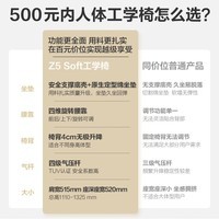 京东京造Z5 Soft升降扶手 人体工学椅 电脑椅 电竞椅 办公椅 人工力学座椅