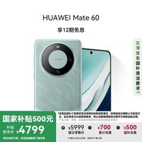 HUAWEI Mate 60 国家补贴500元 12GB+512GB 雅川青 超可靠玄武架构 华为鸿蒙智能手机