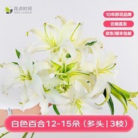 花点时间水仙香水百合鲜花重瓣云南昆明基地直发鲜切花插花源头直发包邮 【多头百合】白色3枝（12-15个花头） 赠鲜花保鲜剂