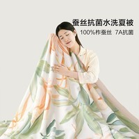 百丽丝家纺夏被水洗抗菌蚕丝夏被清新印花新款夏季被子家用单人双人 浅灰绿色 220cm×240cm