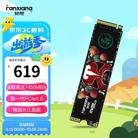 梵想（FANXIANG）2TB SSD固态硬盘 M.2接口PCIe 4.0 x4长江存储晶圆 国产TLC颗粒 PS5台式机笔记本S790