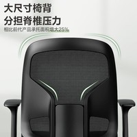 得力（deli）4900S 人体工学靠背办公椅/电脑椅/职员椅 家用网布可升降转椅 黑