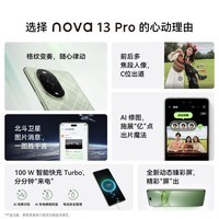 华为（HUAWEI）nova 13 Pro 羽砂紫 256GB 前后多焦段人像 AI修图 北斗卫星图片消息 鸿蒙智能曲面屏手机