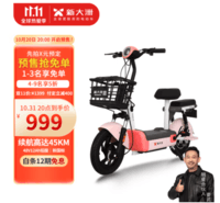 PALLA电动车铅酸电池48V12Ah轻便成人代步车两轮新大洲电动自行车 Q1 /Q1 Plus Q1 48V12A 铅酸 粉色