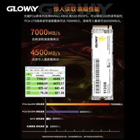 光威（Gloway）弈系列 512GB SSD固态硬盘 长江存储颗粒 TLC M.2接口 NVMe协议 PCIe4.0  7000MB/s读速