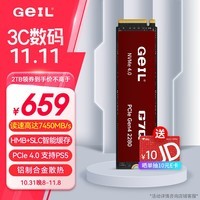 GEIL金邦 2TB SSD固态硬盘 M.2接口(PCIe 4.0 x4)NVMe SSD游戏高性能版高速7450MB/S G7Q系列