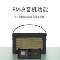艾利和（Iriver） ICM30黑胶无损HIFI音乐播放器发烧级运动MP3录音FM收音机随身听 ICM30-银色