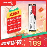 长城（Great Wall） SSD固态硬盘GW3500/CH40 M.2接口(NVMe协议)PCIe 3.0x4 读速高达3500MB/s 黑神话悟空适配 CH40-512GB