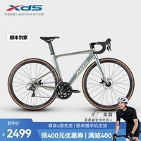 喜德盛（xds）（吴磊推荐）RC618公路车自行车16速成人学生青少年男女骑行变速 （青春版）炫光银 480mm（162-175cm身高）
