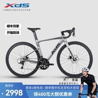 喜德盛（xds）【吴磊推荐】公路自行车24款AD300线拉油碟18速变速铝合金破风车 24款深灰/黑 700C*510（建议身高175-185cm）