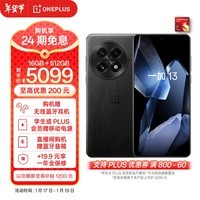 一加 13 16GB+512GB 黑曜秘境 政府补贴 高通骁龙®8至尊版 6000mAh 冰川电池 oppo智能AI游戏5G手机