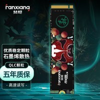 梵想（FANXIANG） SSD固态硬盘 M.2接口(NVMe协议)  S500系列 优质精选颗粒 S500Q 精选QLC颗粒 1T