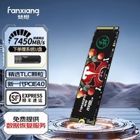 梵想（FANXIANG）S790 SSD固态硬盘 M.2接口(PCIe 4.0x4) 适配PS5 1TB【读速7450MB/S TLC颗粒】标配款