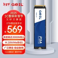 GEIL金邦 2TB SSD固态硬盘 M.2接口PCIe 3.0（NVMe协议）台式机笔记本硬盘 高速3000MB/S P3A系列