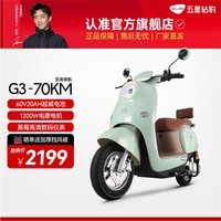 五星钻豹电动车60V20AH电动摩托车成人男女士电瓶车1200W大功率新款电摩G3 海沫绿