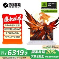 еҲ20%15Pro ᱡϷʼǱ(8845H 32G 1T RTX4060 2.5K 240Hz 99Wh)