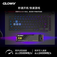 光威（Gloway）1TB SSD固态硬盘 M.2接口(NVMe协议) PCIe 3.0x4 天策系列