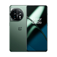 OPPO 一加 11 新品5G手机 全网通 oneplus旗舰手机游戏手机 120HZ 16+256GB一瞬青 官方标配
