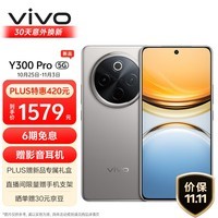 vivo Y300 Pro 8GB+256GB 钛色 6500mAh超薄蓝海电池 全等深微四曲屏 SGS五星抗摔认证 AI 拍照 手机